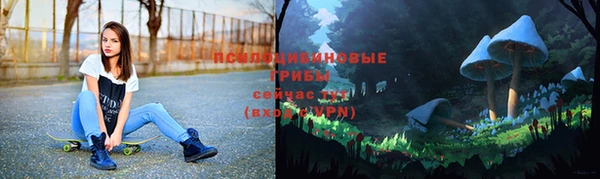спиды Богородск