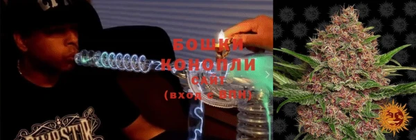 спиды Богородск