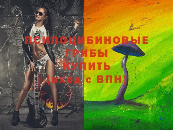 спиды Богородск