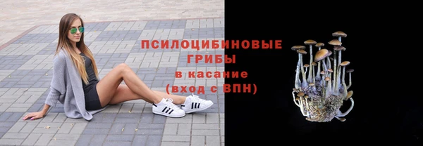 спайс Богданович