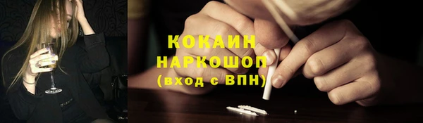 мдпв Богородицк